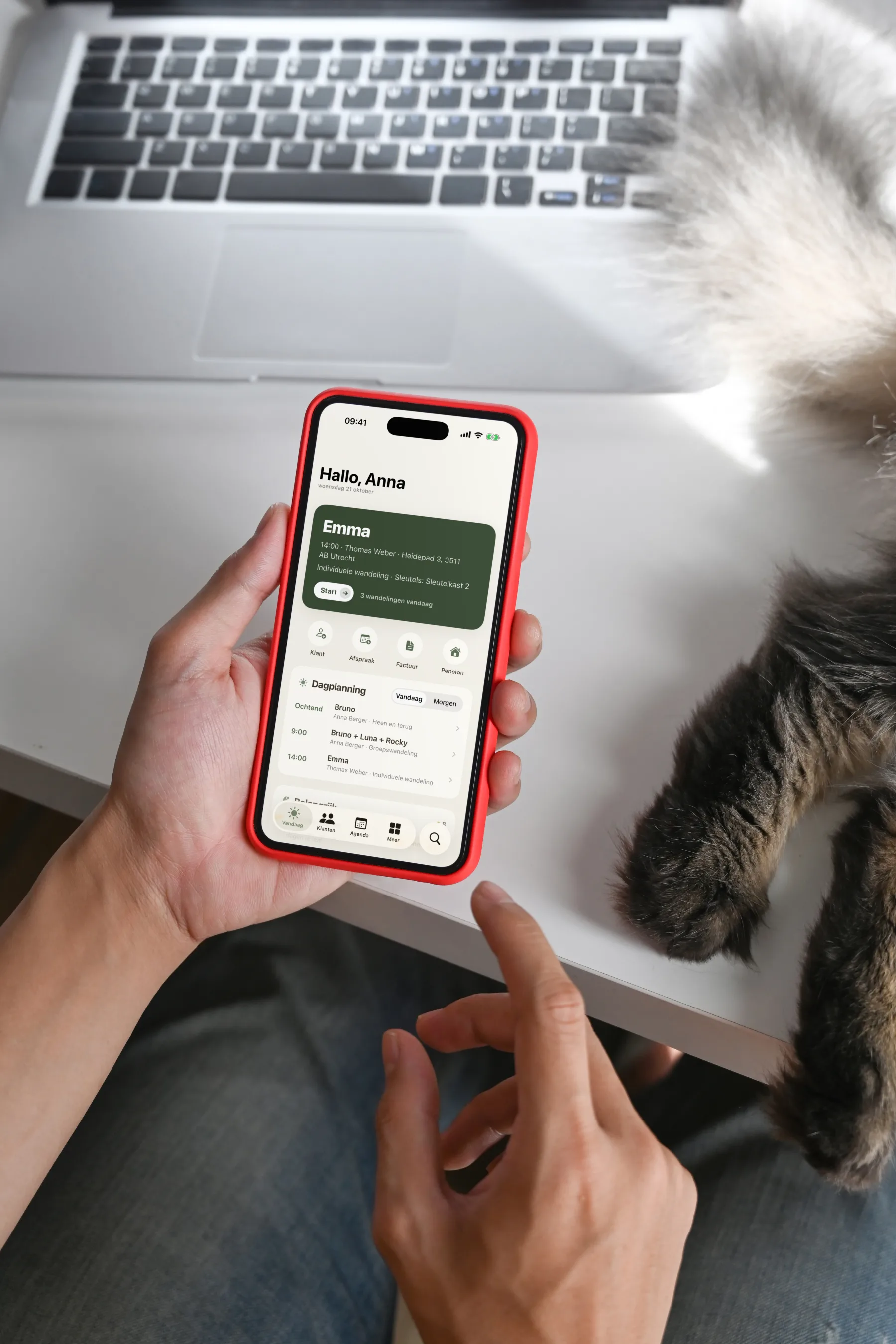 Handen houden een iPhone vast met het Vandaag-scherm van Dog Walkers, ernaast een laptop en de pootjes van een kat.