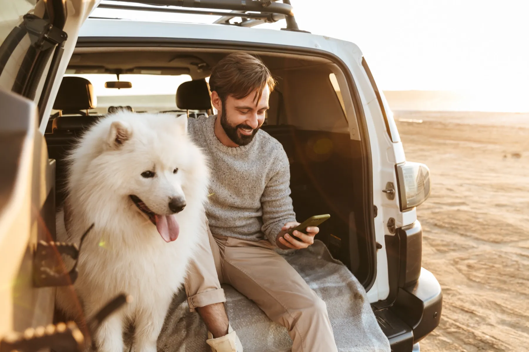 Ein Mann sitzt im offenen Kofferraum seines Autos neben seinem weißen Samojeden und schaut aufs Handy, bereit für die Reise.