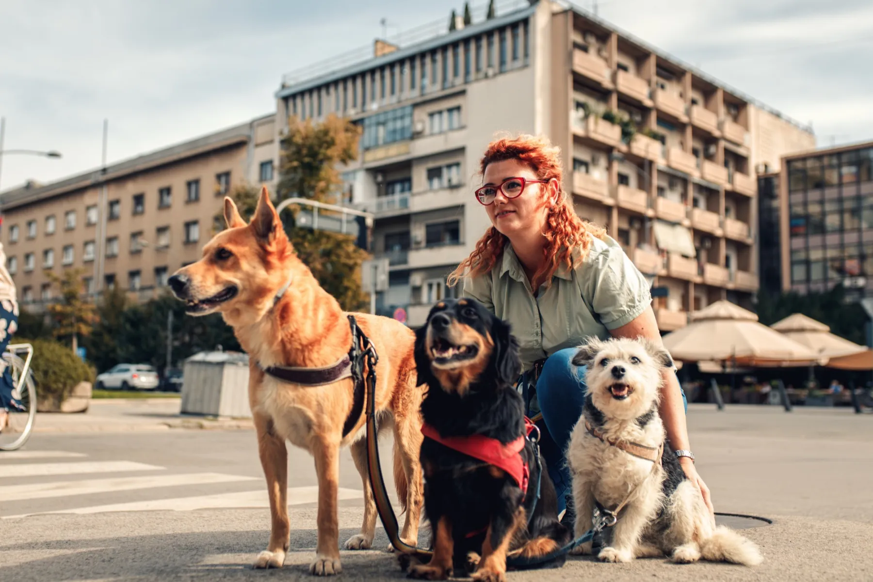 A woman with red curls crouches with three dogs on a city square.